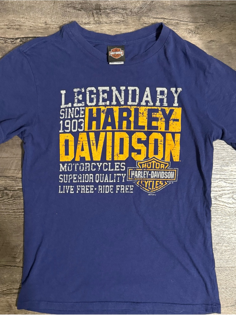 Harley-Davidson Blue Tee with Yellow Logo Print